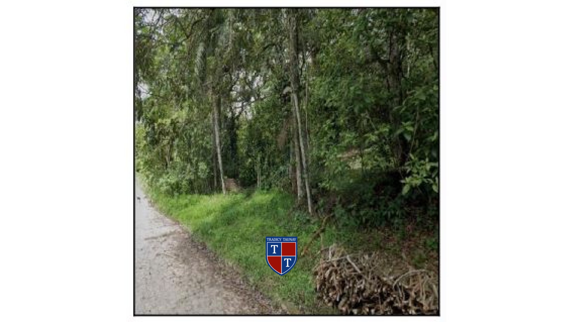 Foto 1 de TERRENO em CHA DA TABUA - Imóvel Retomado Caixa