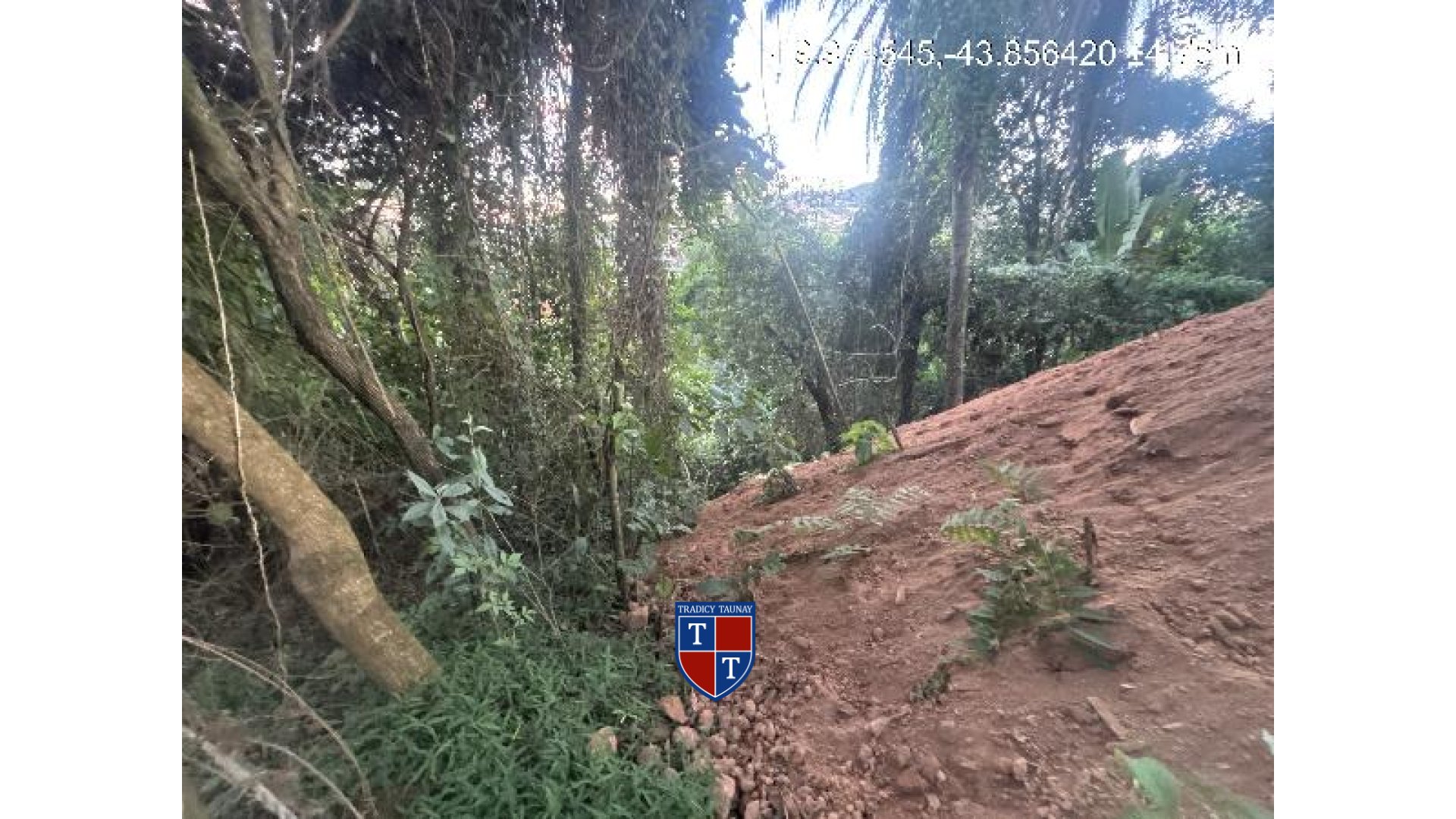 TERRENO em BOA VISTA