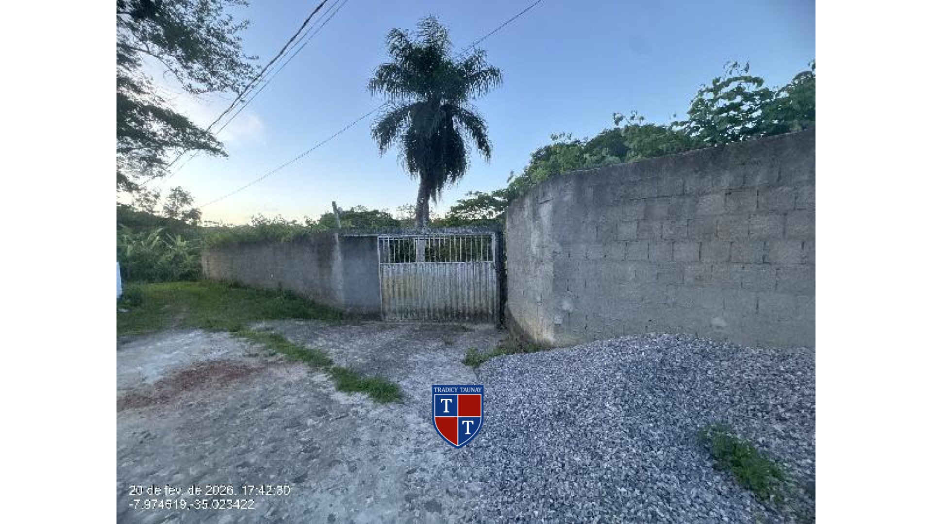 TERRENO em CHA DA TABUA