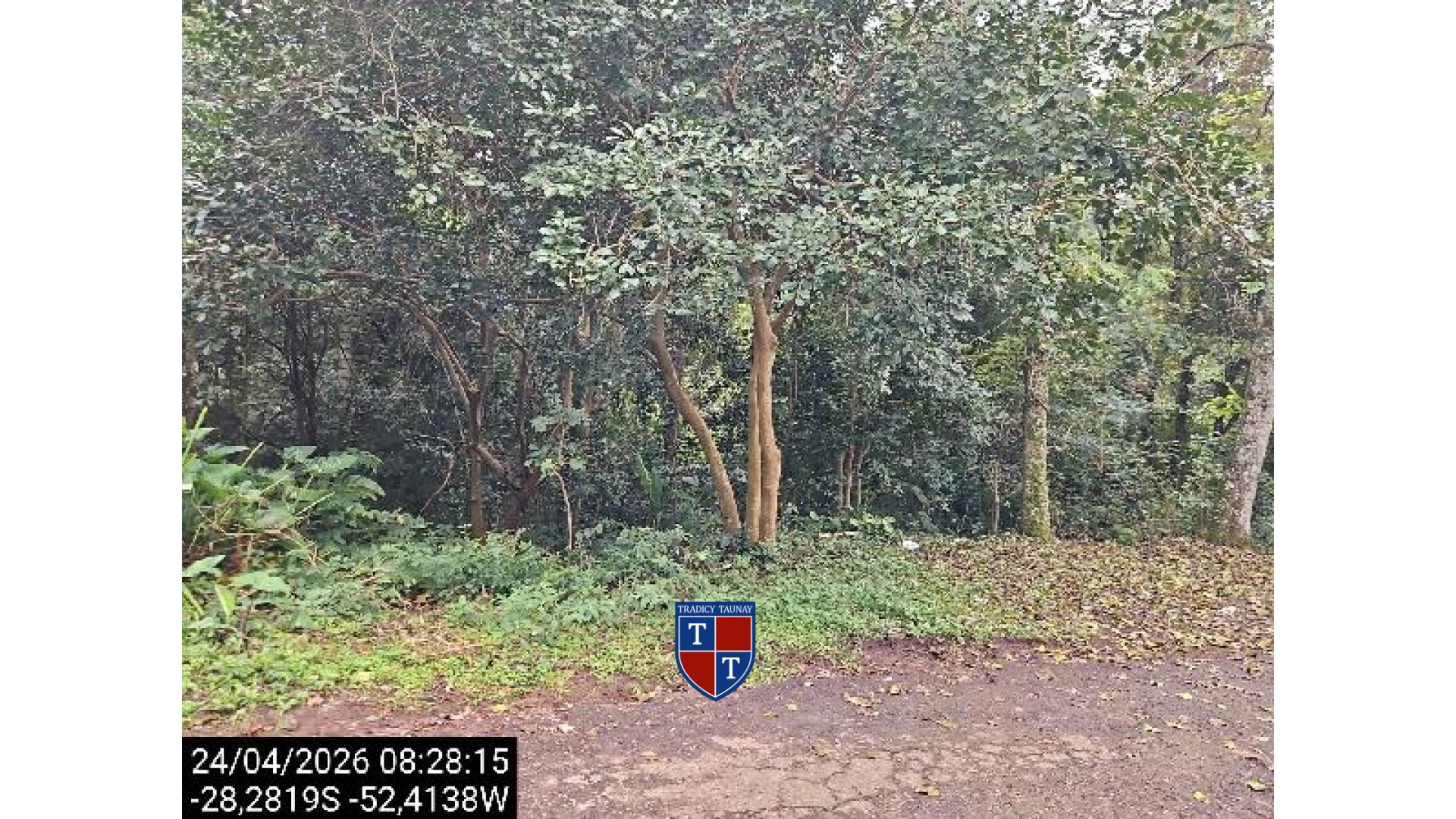 TERRENO em VILA LUIZA