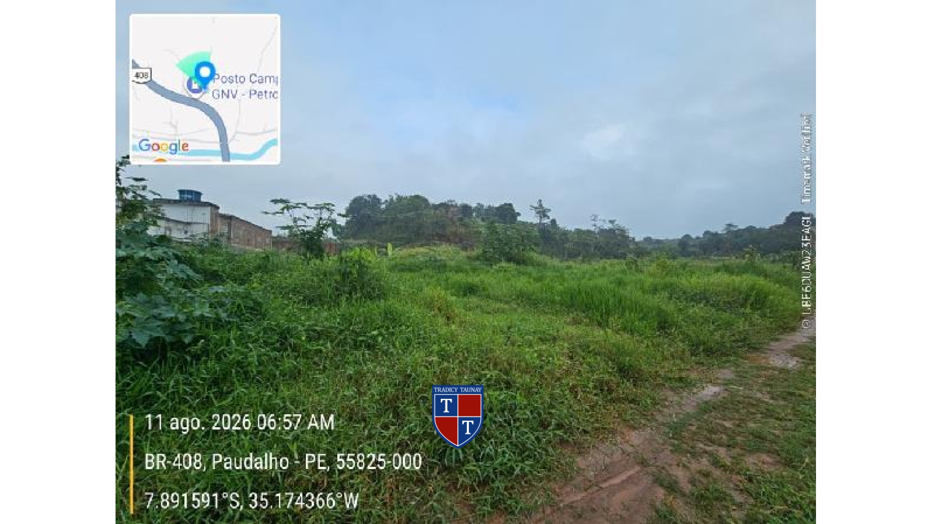 TERRENO em MURIBARA