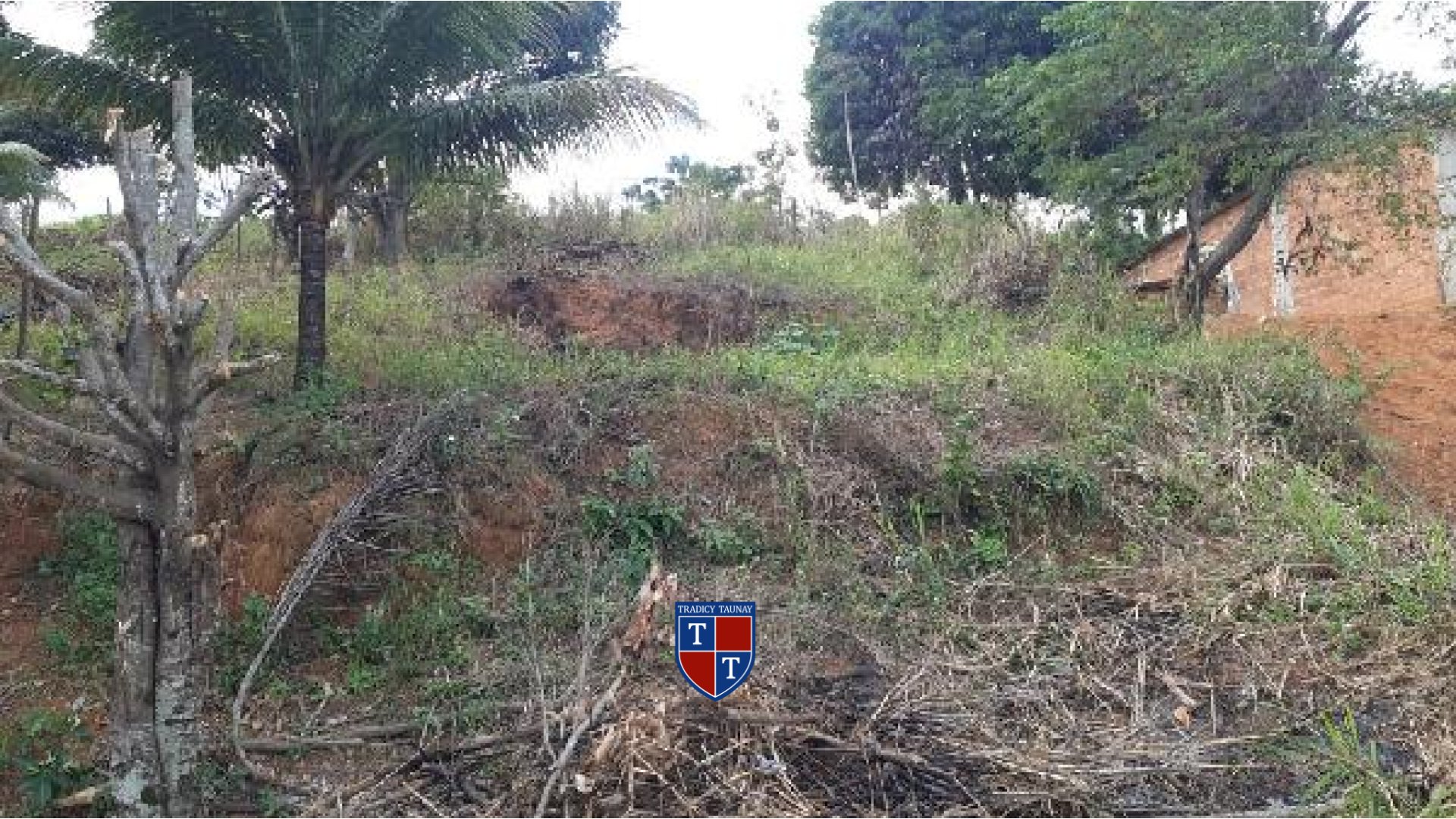 TERRENO em VALE DOS REIS