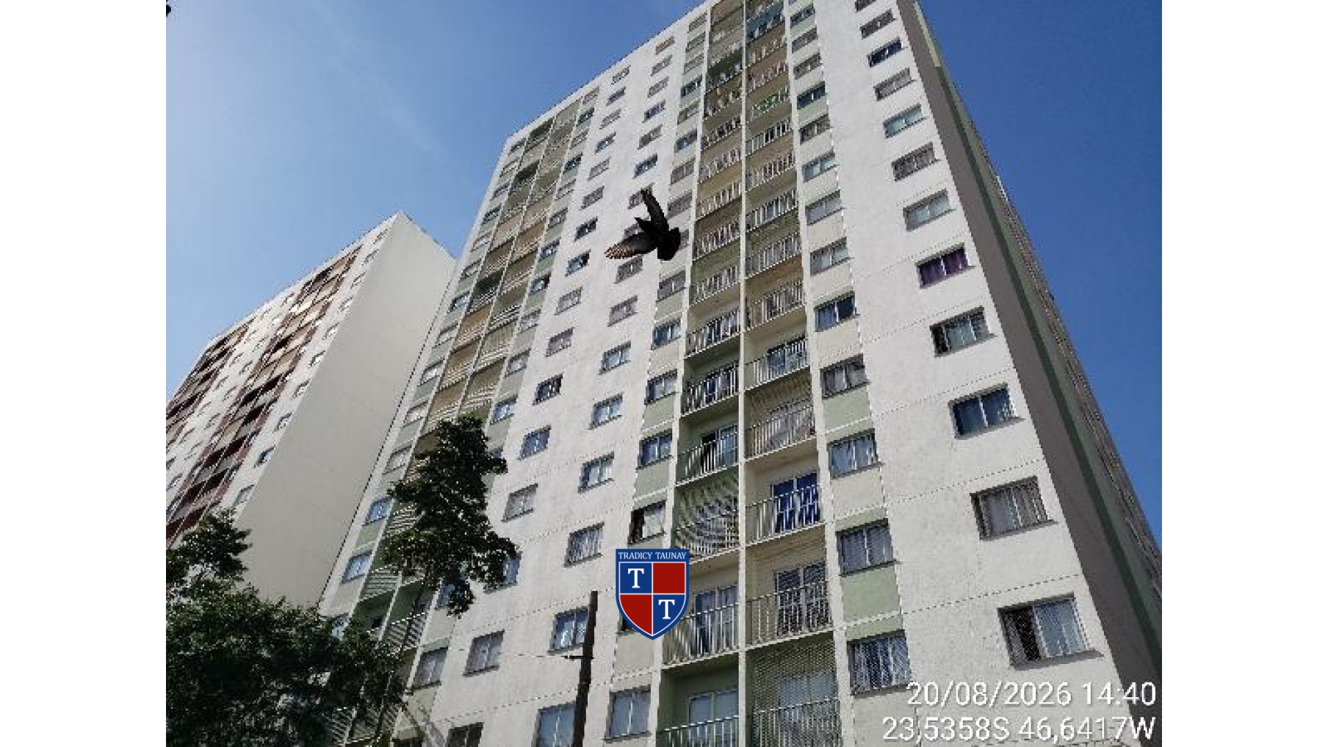 APARTAMENTO em CAMPOS ELISEOS
