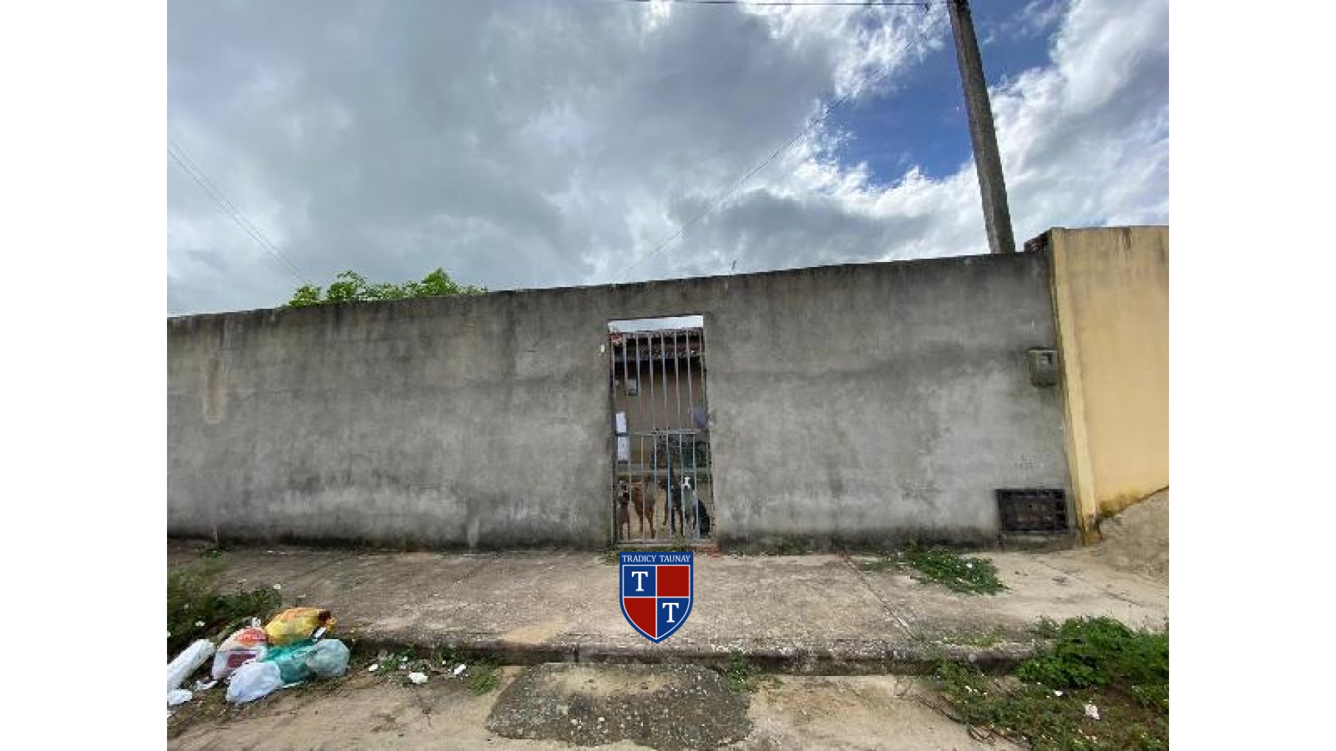 CASA em PAU BRASIL